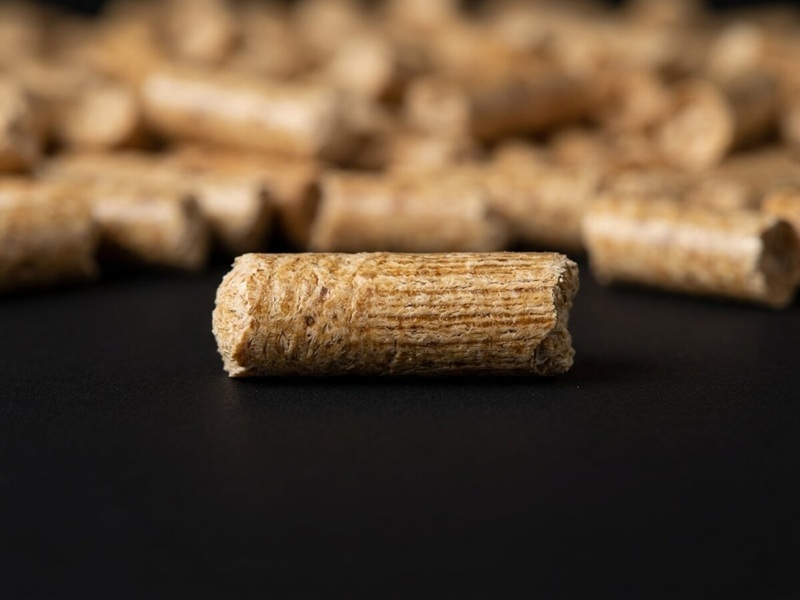 Detail shot of wood pellet surface, visible wood grain and compression marks as evidence of controlled densification